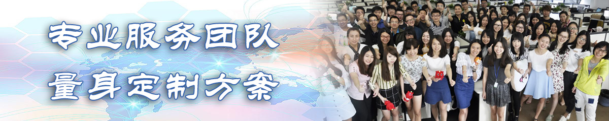 大理BI软件
